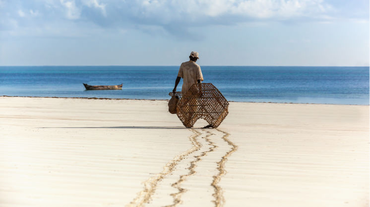 Ética na Pesca: Praticando uma Pesca Sustentável